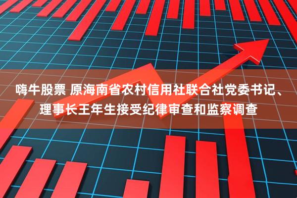 嗨牛股票 原海南省农村信用社联合社党委书记、理事长王年生接受纪律审查和监察调查