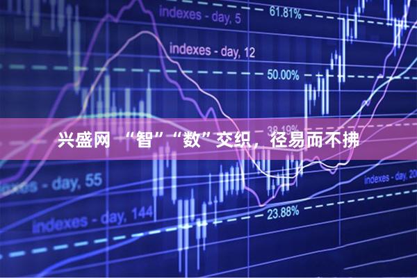 兴盛网  “智”“数”交织，径易而不拂